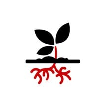 Icon ursprüngliche Sorten