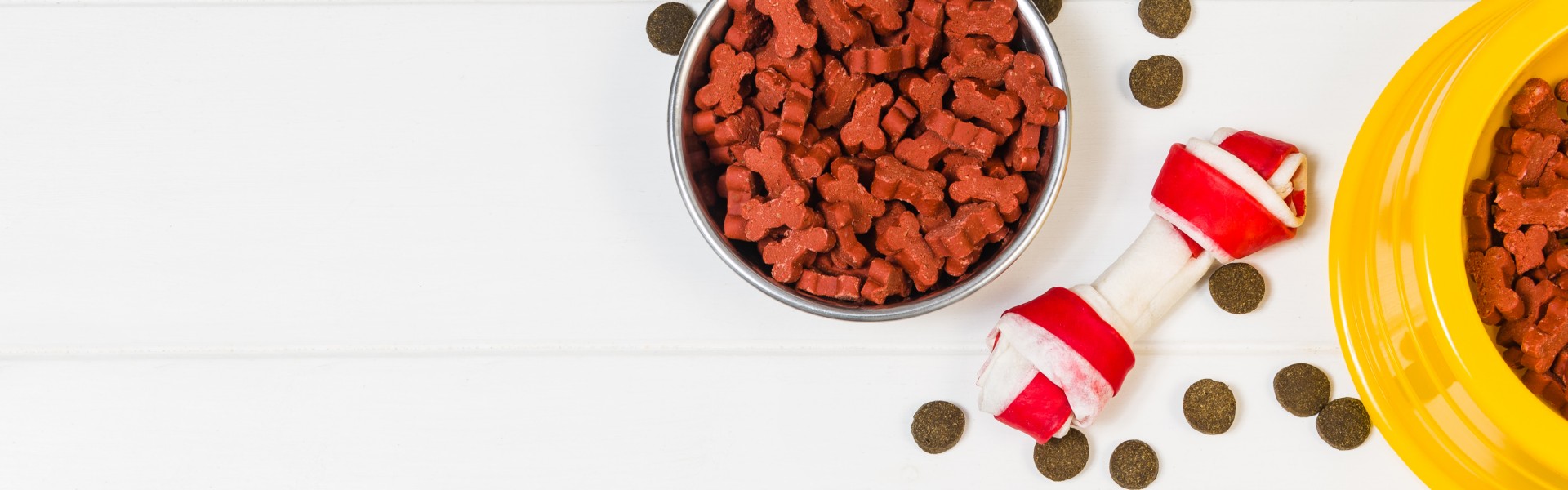 Dry dog pet food in bowl and accessories on white wooden background top view. Pet feeding and care concept backgrounds with copy space. Photograph taken from above.