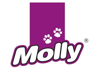 Molly Logo Teaser