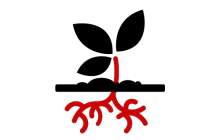 Icon ursprüngliche Sorten