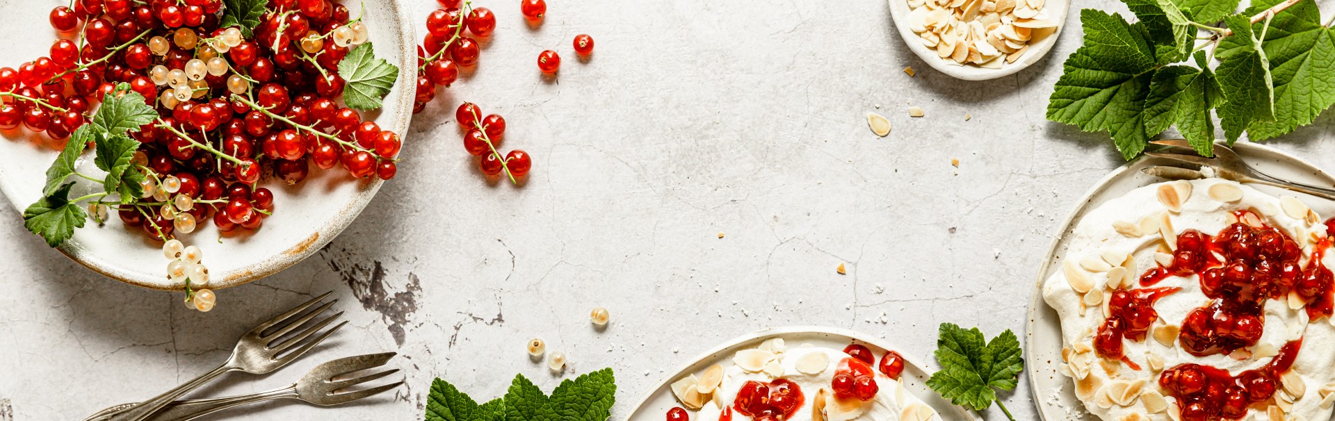 Ribisel Header