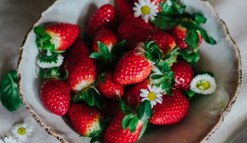 Warenkunde, Erdbeeren, Teaser