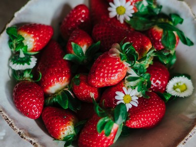 Warenkunde, Erdbeeren, Teaser