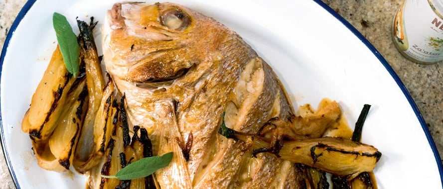 Goldbrasse mit Fenchel