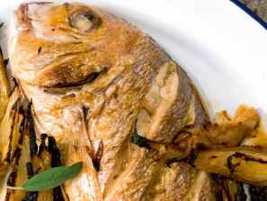Goldbrasse mit Fenchel