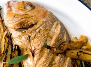 Goldbrasse mit Fenchel