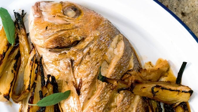Goldbrasse mit Fenchel