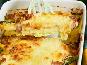 Spargel-Cannelloni mit Schinken