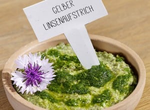 Linsen-Petersilien-Aufstrich