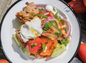 Brotsalat mit knoblauch-croutons