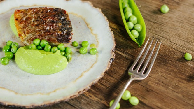 Bachforelle mit Erbsenmousse Tici Kaspar