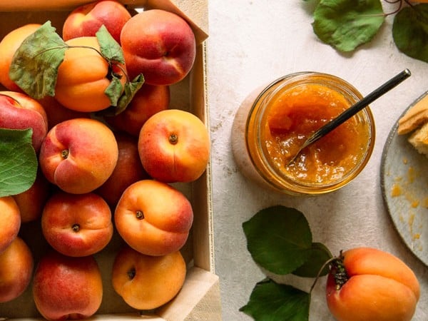 Marillen Marmelade