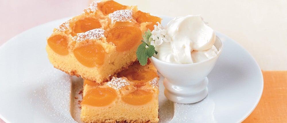 Marillenkuchen Johanna Maier