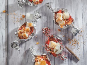 Smores vom Grill magazin Header