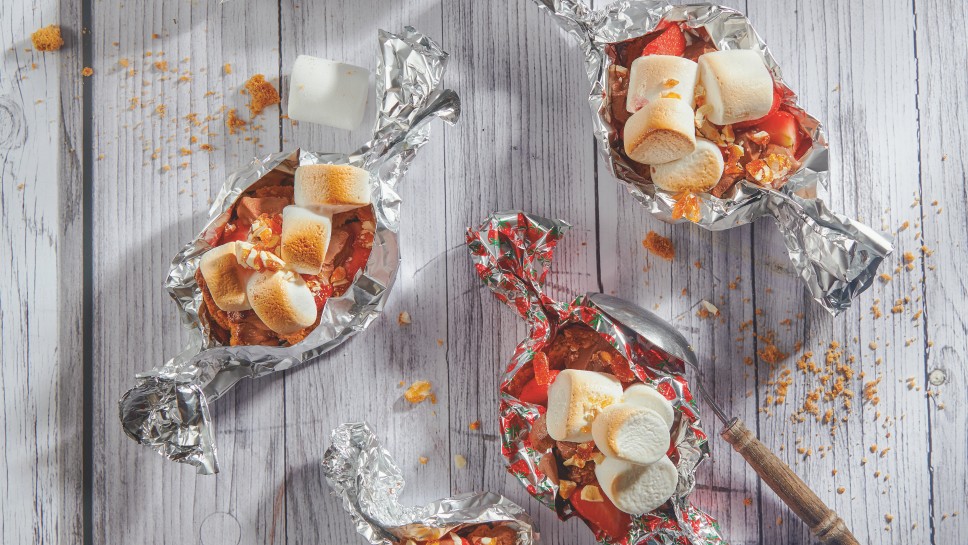 Smores vom Grill magazin Header