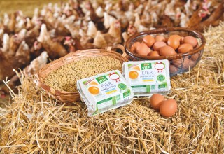 Hühner, Eier und Korn in Stall