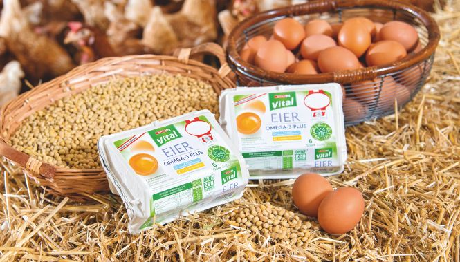 Hühner, Eier und Korn in Stall