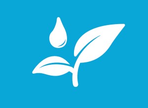 Umwelt Teaser Logo Pflanze und Tropfen