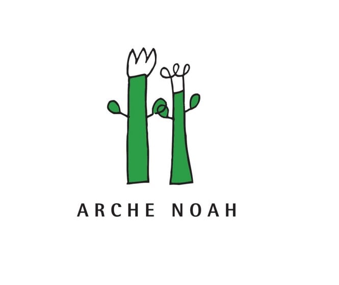 Arche Noah Logo