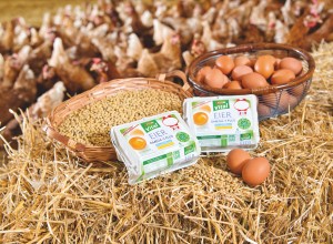 SPAR Vital Eier auf Stroh