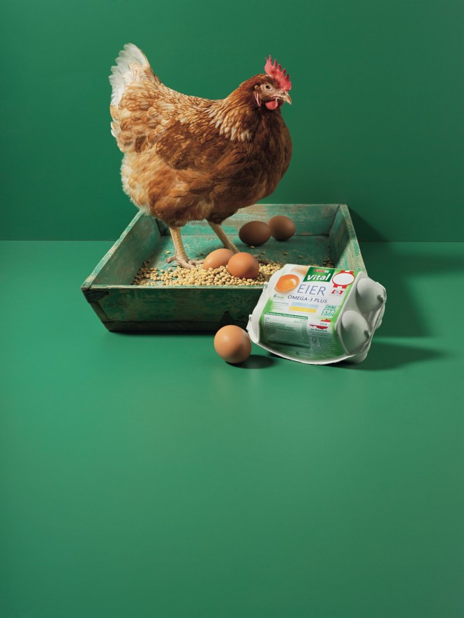 Huhn mit Donau Soja Eier