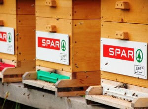 Bienen fliegen vor Bienenstöcke
