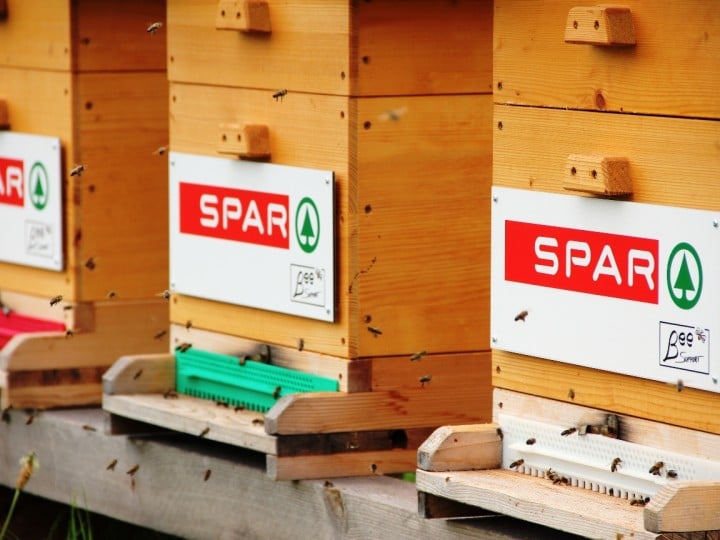 Bienen fliegen vor Bienenstöcke