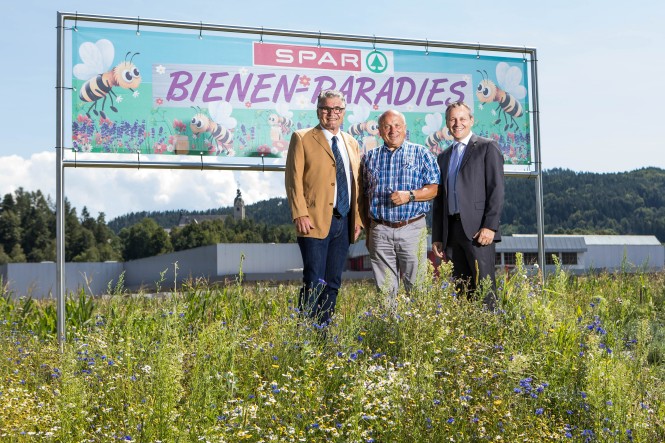 Bienenparadies in Kärnten