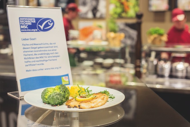 MSC Hinweisschild und Fischgerichte im INTERSPAR-Restaurant