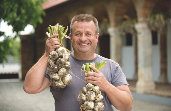 Erich Stekovics hält Gemüsebund in der Hand
