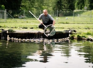 Markus Payr mit Netz am Fischteich