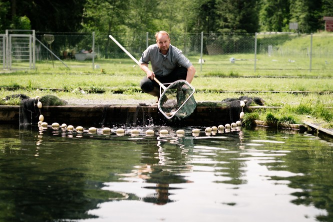 Frischfisch Markus Payr Markus Payr mit Netz am Fischteich