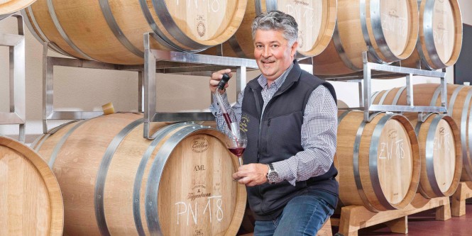 Weingut Taggenbrunn Weingut Taggenbrunn