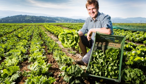 Romed Wopfner mit frisch geerntetem Salat