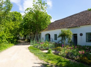 Außenaufnahme vom Weinviertler Museumsdorf Niedersulz
