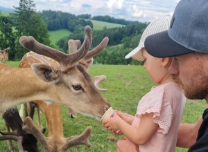 Foto von Wildpark Hochrieß. Kind mit männlicher Person füttern einen Hirsch.