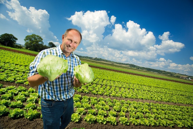 Salat, Johann Prischink Salat, Johann Prischink