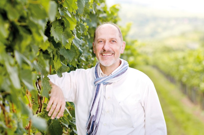 Weingut Schloss Fels Weingut Schloss Fels