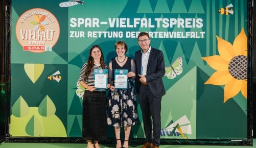 Niederösterreichische Maturant:innen Niederösterreichische Maturant:innen