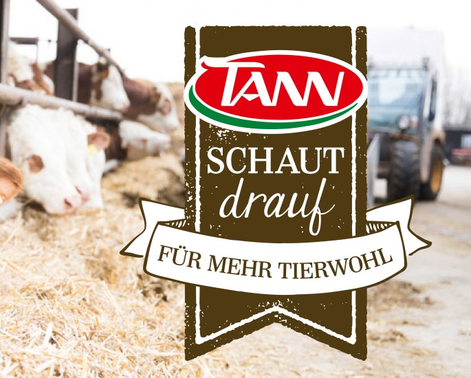 TANN schaut drauf Kühe fressen