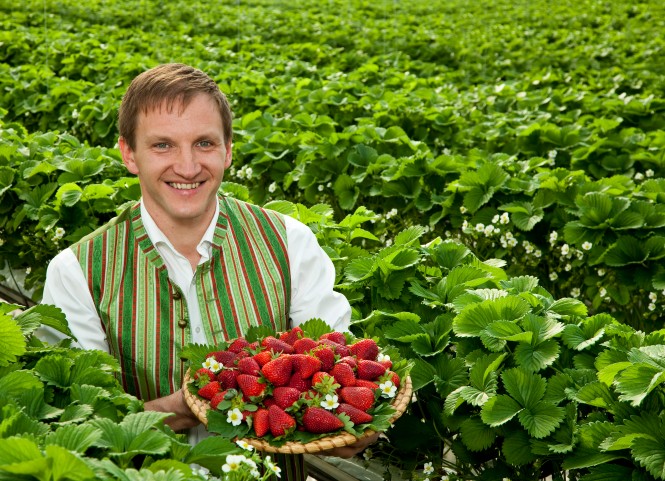 Lieferant gutmann hält einen Korb voller Erdbeeren