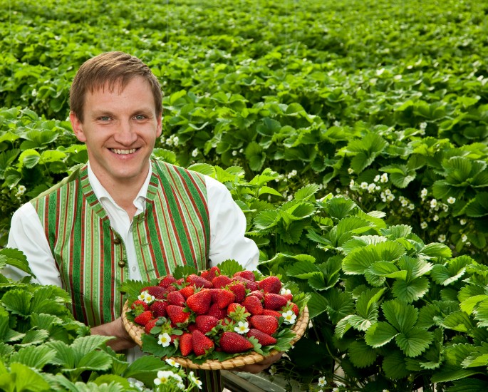 Lieferant gutmann hält einen Korb voller Erdbeeren