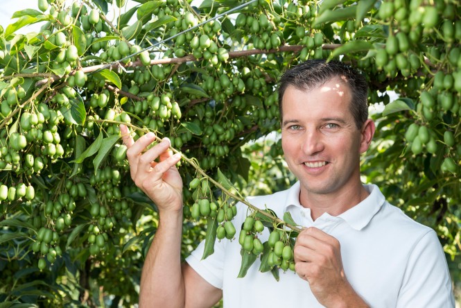 Johannes Pankrater mit Mini-Kiwis