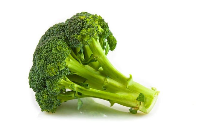 Brokkoli Gemüse Gesund Bionahrung Brokkoli Gemüse Gesund Bionahrung