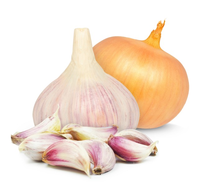 garlic and onion isolated on white background garlic and onion isolated on white background