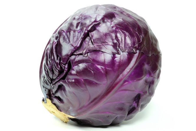 Rotkohl isoliert auf weißem Hintergrund Rotkohl isoliert auf weißem Hintergrund