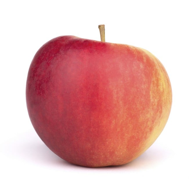 a set of six varieties of apples isolated on white background a set of six varieties of apples isolated on white background