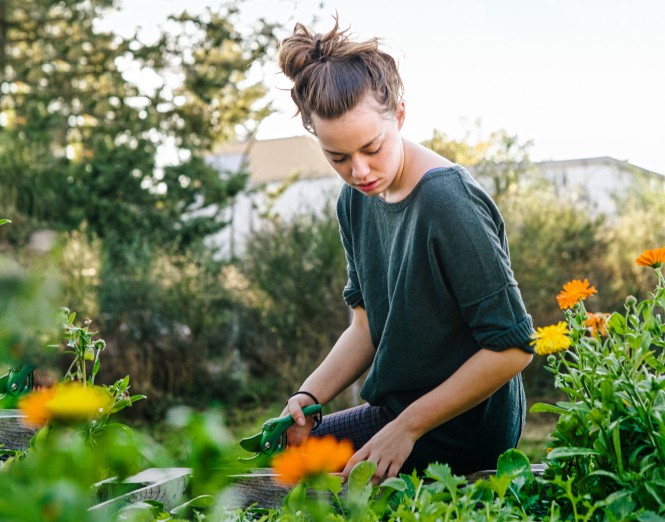 Young woman with hair bun in organic urban gardening project at raised bed