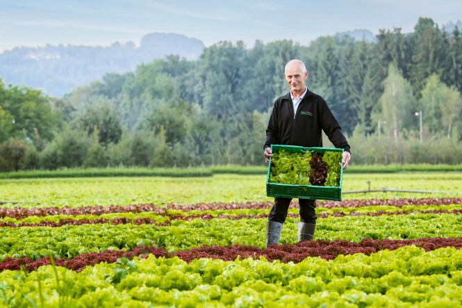 © 2021 MEDIArt | Photographie, Spar Vorarlberg, Imageaufnahmen, Ländle Lieferant, Gemüsebauer Gehrer Walter und Fabienne, Lehrling, Direktorin Pohlhammer Carina