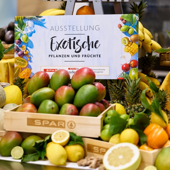 Ausstellung Exotische Früchte Ausstellung Exotische Früchte